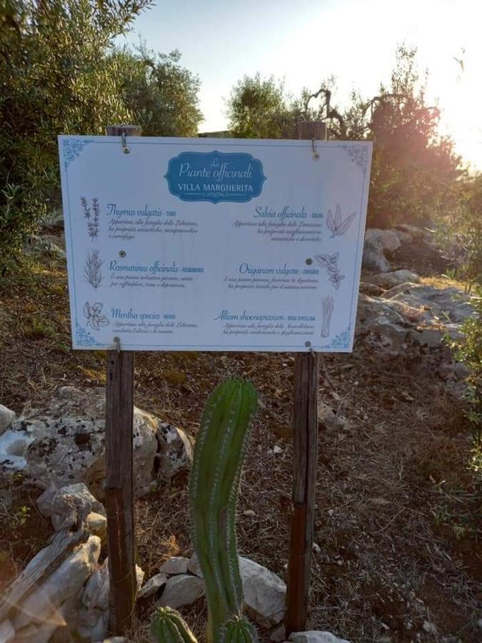 Le Capanne Di Villa Margherita Sonnino Екстериор снимка