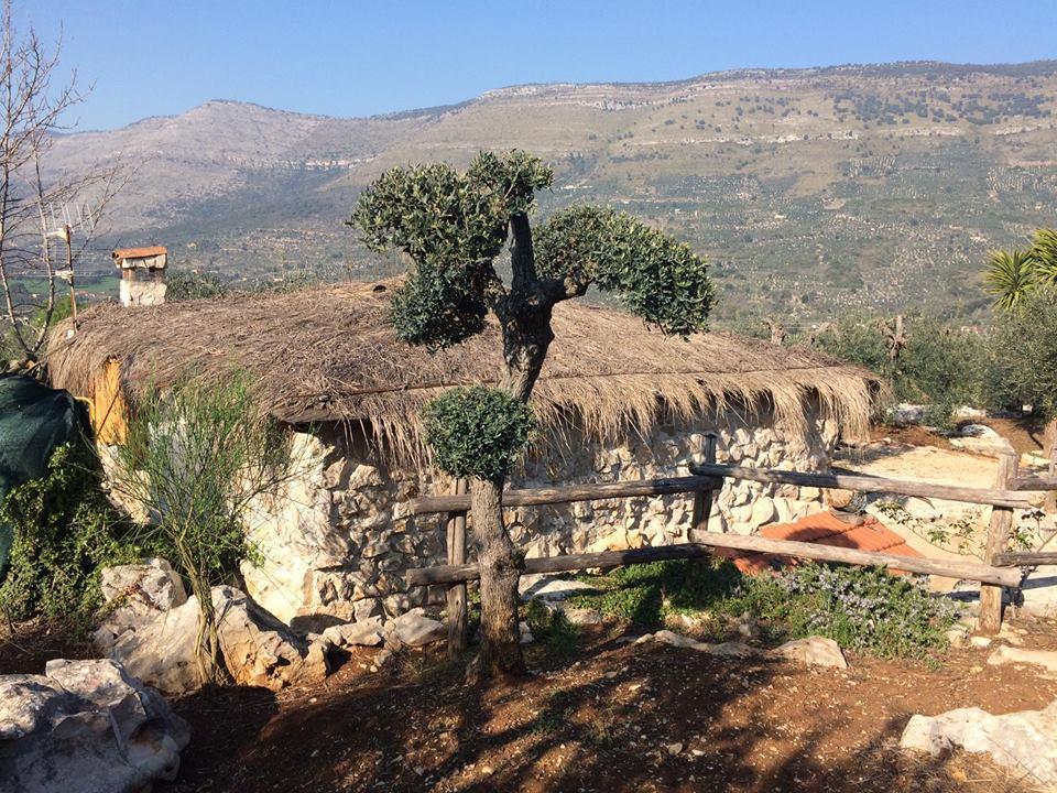 Le Capanne Di Villa Margherita Sonnino Екстериор снимка