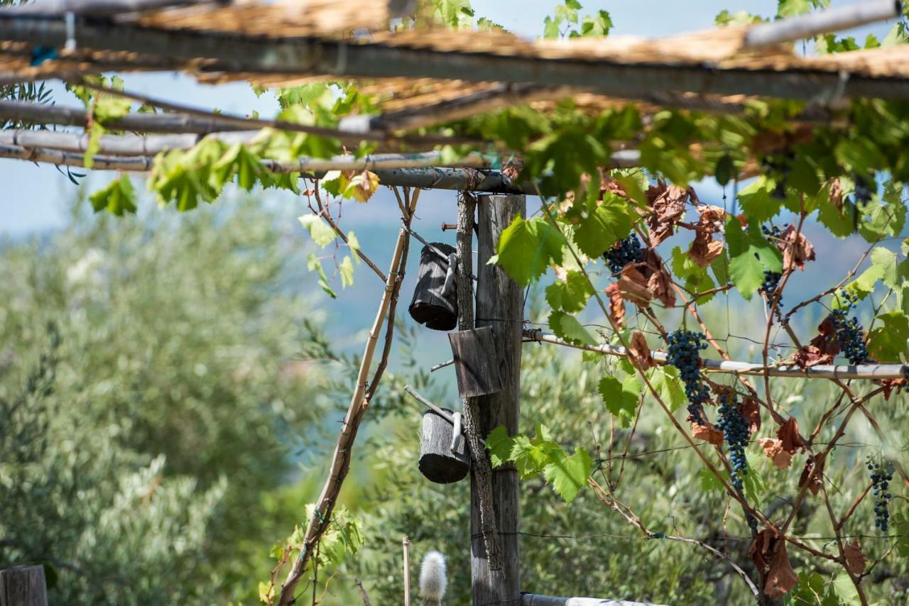 Le Capanne Di Villa Margherita Sonnino Екстериор снимка